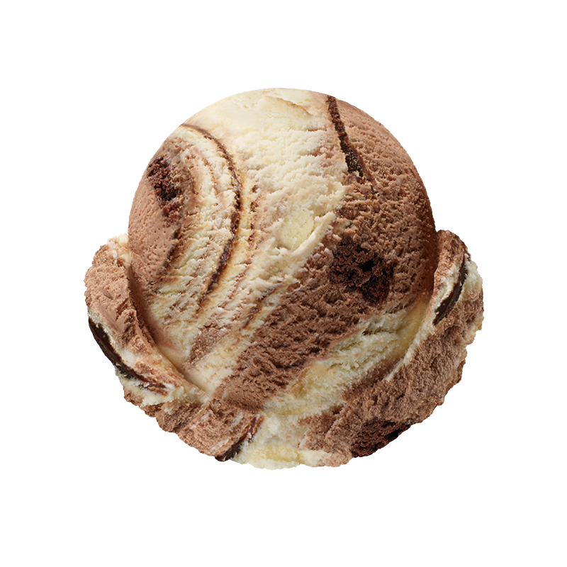 치즈가 브러우니?